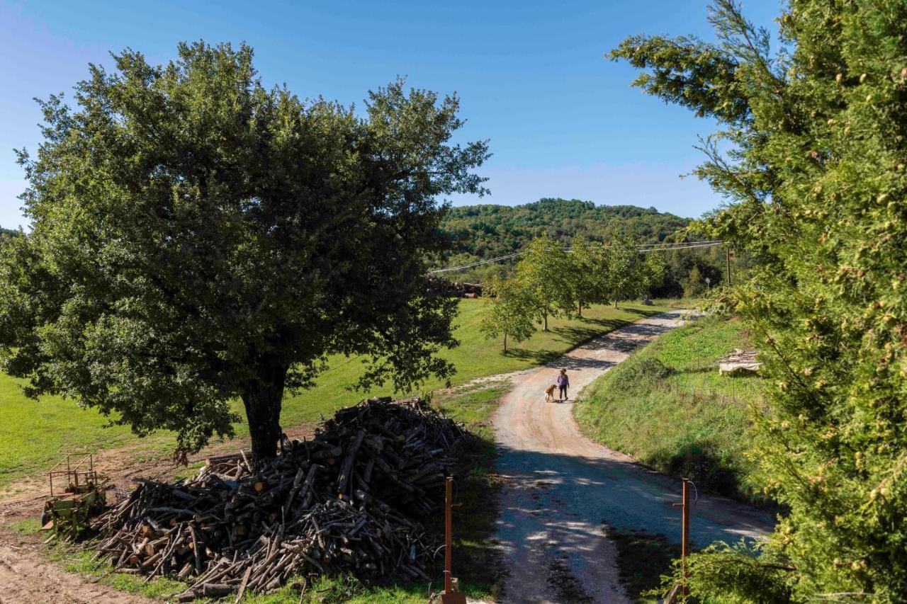 Podere Pratizzoli تول المظهر الخارجي الصورة